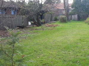 Cleared fence and old shed gone