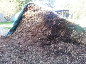 Mulch looks good after composting